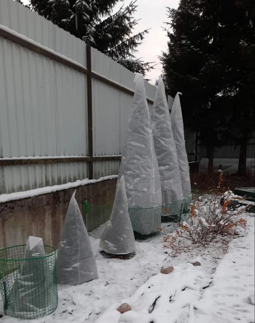 Зимнее укрытие 180 см - 2 шт для декоративных растений Agreen - Фото 4 Зимнее укрытие 180 см - 2 шт для декоративных растений Agreen - изображение 4