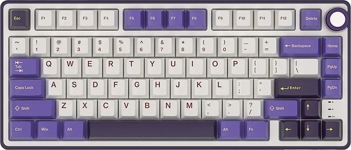 Клавіатура дротова RK ROYAL KLUDGE R75 RGB K Silver Switch Blackberry Mousse (RK-R75-BBERRYMS-KSLVSW-US) - зображення 1