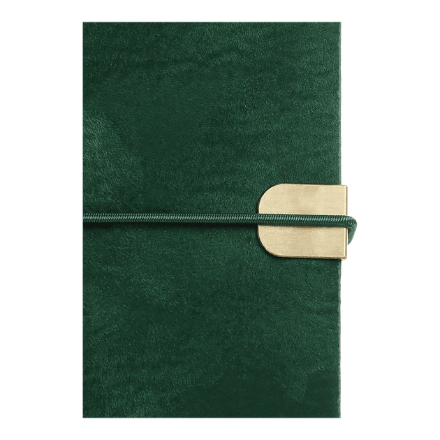 Ежедневник датированный 2026 Buromax Velour A5 из искусственной кожи 336 страниц зеленый (BM.2134-04) - Фото 5 Ежедневник датированный 2026 Buromax Velour A5 из искусственной кожи 336 страниц зеленый (BM.2134-04) - изображение 5