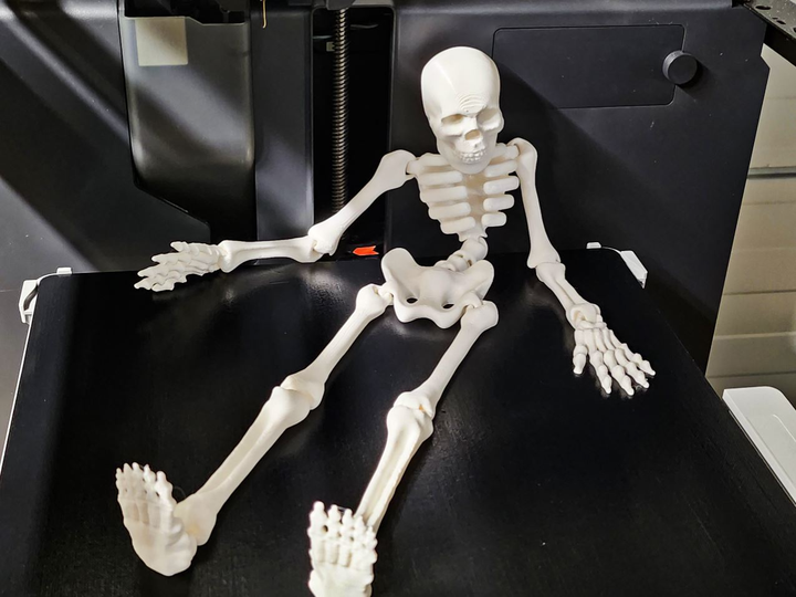 Flexi Skeleton антистрес - Фото 1 Flexi Skeleton антистрес - изображение 1