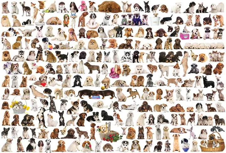 Puzzle EuroGraphics Świat psów 2000 el 8220-0581 (628136205818) - obraz 2