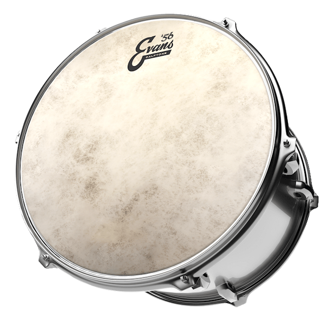 Пластик для малого барабана Evans TT13C7 13" Calftone - Фото 2 Пластик для малого барабана Evans TT13C7 13" Calftone - изображение 2