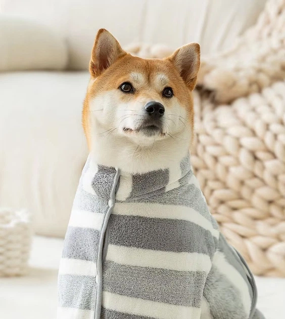 Банное полотенце hipidog специально для груминга собак с липучкой на талии и застежкой на шее / Полиэстер Coral Velvet / Размер: M для домашнего животного 10-25 кг (спина 55 см / шея 60 см / грудная клетка 85 см) - изображение 2