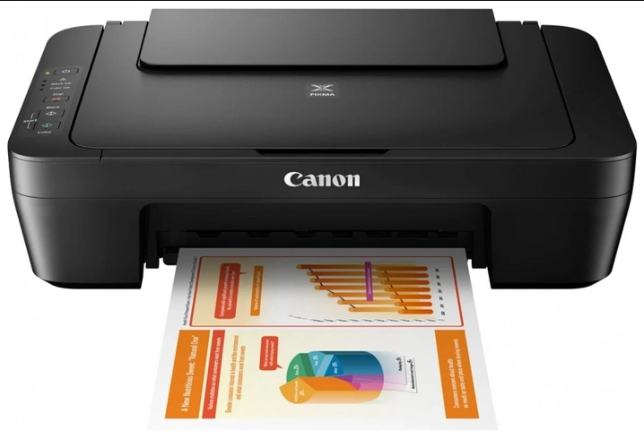 БФП 3в1 Canon Pixma MG2551S - изображение 2