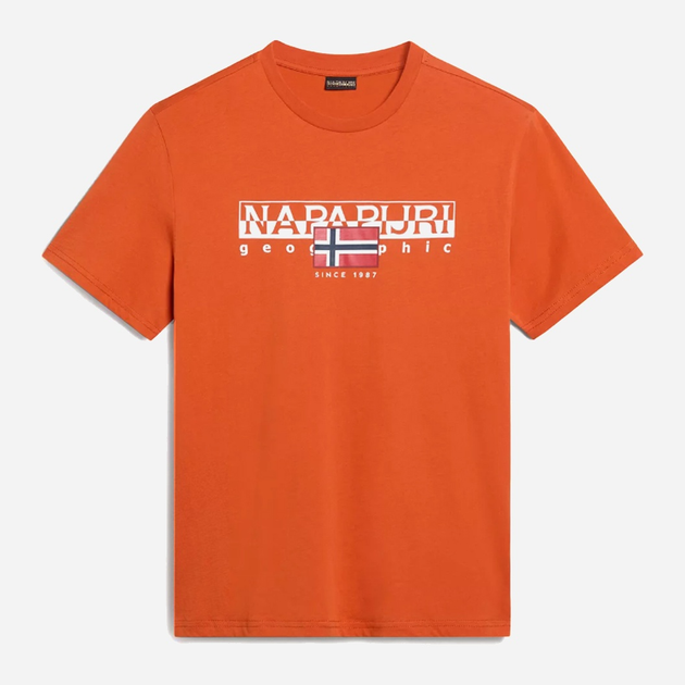 Футболка бавовняна довга чоловіча Napapijri S-Aylmer NP0A4HTOA621 L Оранжева (800070320986) - зображення 4