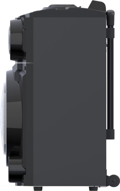 Акустична система Fiodio P-942 50 Вт Black (8424655950138) - зображення 4