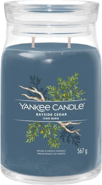 Ароматична свічка Yankee Candle Bayside Cedar 567 г (5038581129358) - зображення 1