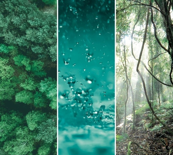 Ароматична свічка Yankee Candle Bayside Cedar 567 г (5038581129358) - зображення 2