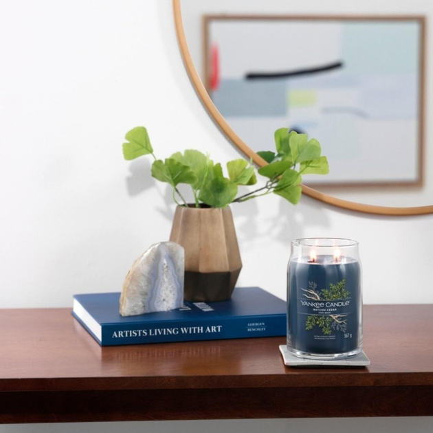 Ароматична свічка Yankee Candle Bayside Cedar 567 г (5038581129358) - зображення 3