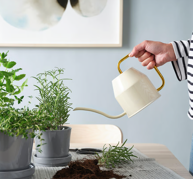Лійка 0,9 л колір слонова кістка IKEA VATTENKRASSE 403.941.18 - изображение 6