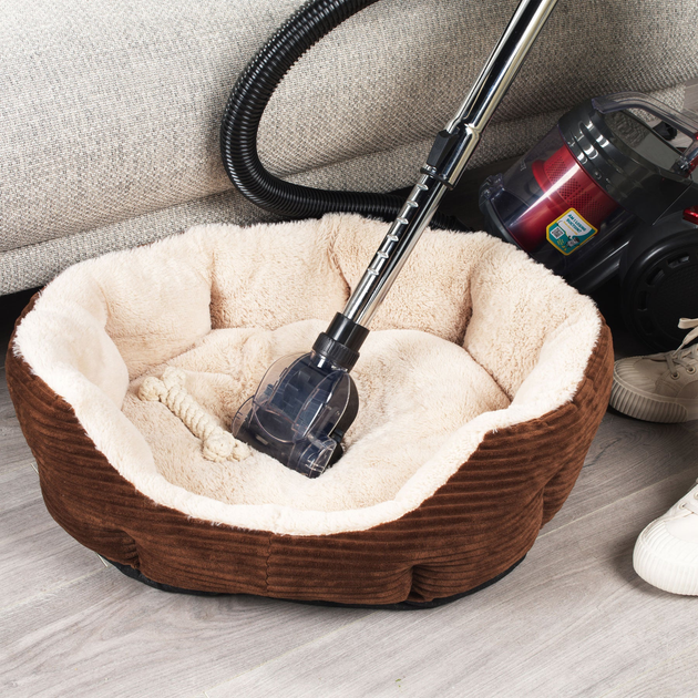 Пилосос без мішка Beldray 92326 - зображення 6