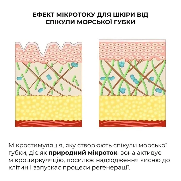 Набор для лифтинга и восстановления упругости кожи лица Лифтинг маска, Сыворотка Hillary Face Lifting & Firming Set K-11-392 - Фото 5 Набор для лифтинга и восстановления упругости кожи лица Лифтинг маска, Сыворотка Hillary Face Lifting & Firming Set K-11-392 - изображение 5