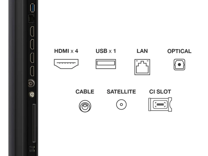 Телевізор TCL 75" QLED 75Q6C (75Q6C) - зображення 11
