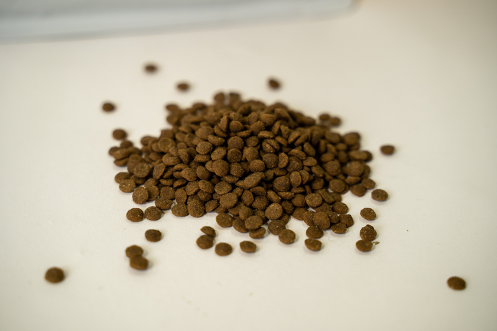 Sucha karma bezzbożowa Nature's Protection Superior Care Red Coat Grain Free Adult Small Breeds with Salmon dla dorosłych psów o rudym umaszczeniu dla małych ras 10 kg NPSC47231 (4771317472311) - obraz 2