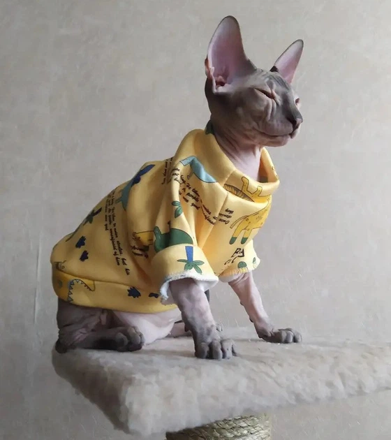 Кофта для котов (кошек) Лаки Африка XS Желтый - Фото 6 Кофта для котов (кошек) Лаки Африка XS Желтый - изображение 6