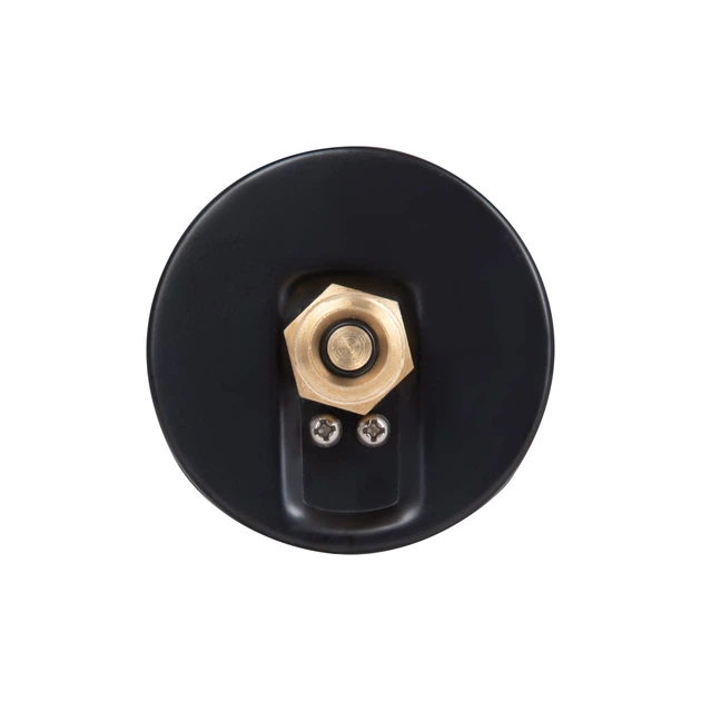 Термоманометр Thermo Alliance Standart 80 мм 1/2", заднее подключение SD17310B - изображение 5