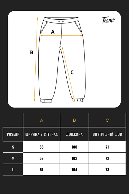 Мужские теплые спортивные штаны Teamv OVERSIZE 3 Черные S - изображение 8
