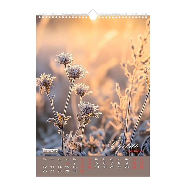 Календарь настенный 2026 Buromax А3 на 1 пружину Wild flowers (BM.210605) - изображение 13