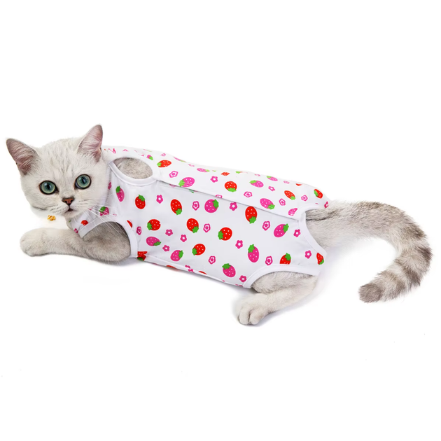 Одежда для кошек после операции Longnew Pet Strawberry XL - изображение 2