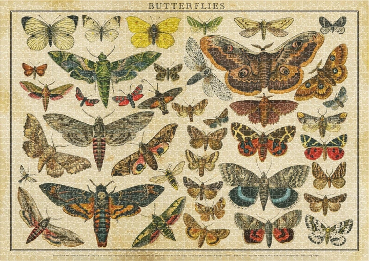 Пазли Interdruk Vintage Nature 1 тришарові 2000 деталей 385031 (5902277385031) - зображення 3