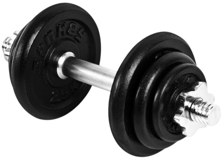 Zestaw hantli Spokey Egir 2 x 10.5 kg (5905339444790) - obraz 4