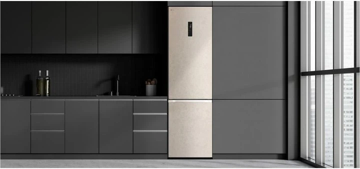 Холодильник с морозильной камерой LG GC-B509FEMW - изображение 3
