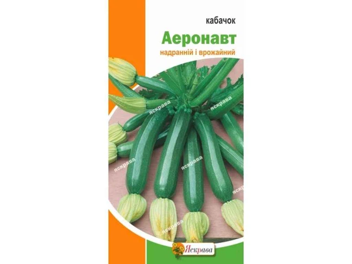 Кабачок ЯСКРАВА Аеронавт (20 пачок) 3г - Фото 1 Кабачок ЯСКРАВА Аеронавт (20 пачок) 3г - изображение 1
