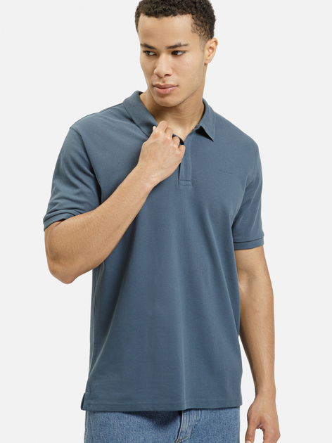 Koszulka polo męska Cross Jeans 16145-462 L Niebieska (8697319807035) - obraz 1