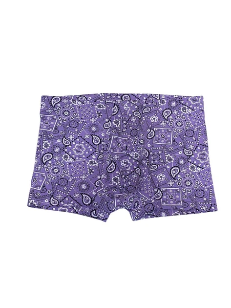Труси H&M 270564310_purple L Різнокольоровий - Фото 1 Труси H&M 270564310_purple L Різнокольоровий - изображение 1