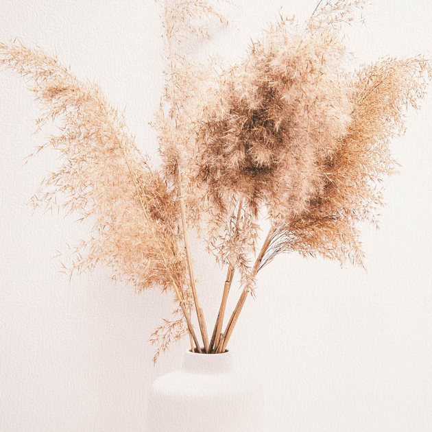 Картина Homla сухоцвіти у вазоні 30 x 30 см (5906496757662) - зображення 4