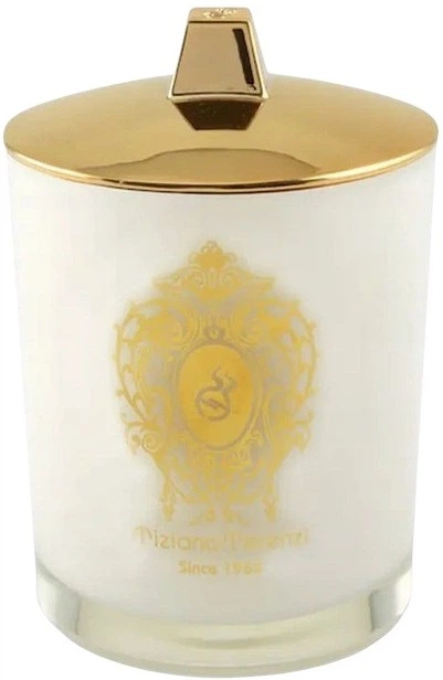 Ароматична свічка Tiziana Terenzi Delox 170 г (8016741892530) - зображення 1