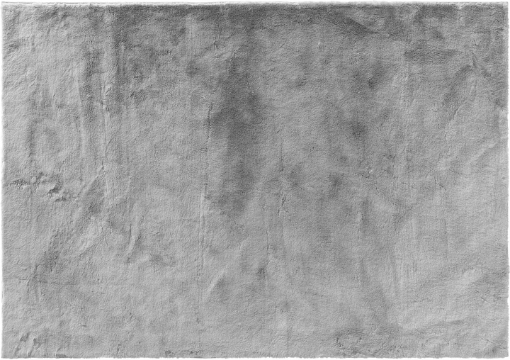 Dywan Douceur d'interieur Feline ze sztucznego futra 120 x 170 cm Szary (3574387415384) - obraz 1