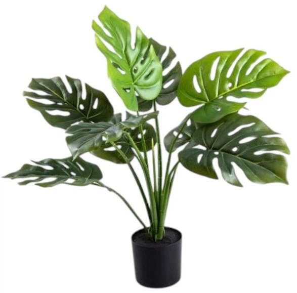 Штучна рослина Homla Tropical Zone монстера 66 см (5906496730641) - зображення 1