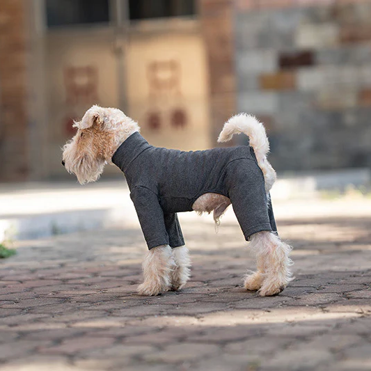Базовый комбинезон/пижама для собак V.PET.B.R. Dog Jumpsuit CF36 Dark Grey. XL - Фото 1 Базовый комбинезон/пижама для собак V.PET.B.R. Dog Jumpsuit CF36 Dark Grey. XL - изображение 1