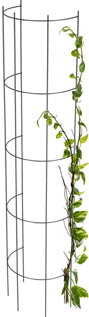 Pergola ogrodowa Kadax K1790 - obraz 1