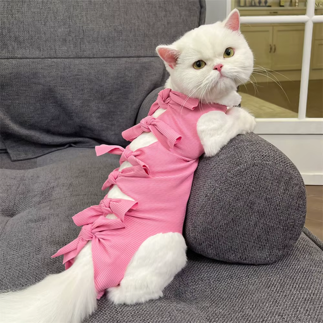 Одяг для котів після операції Holley Bow-knots Pink M - Фото 1 Одяг для котів після операції Holley Bow-knots Pink M - изображение 1