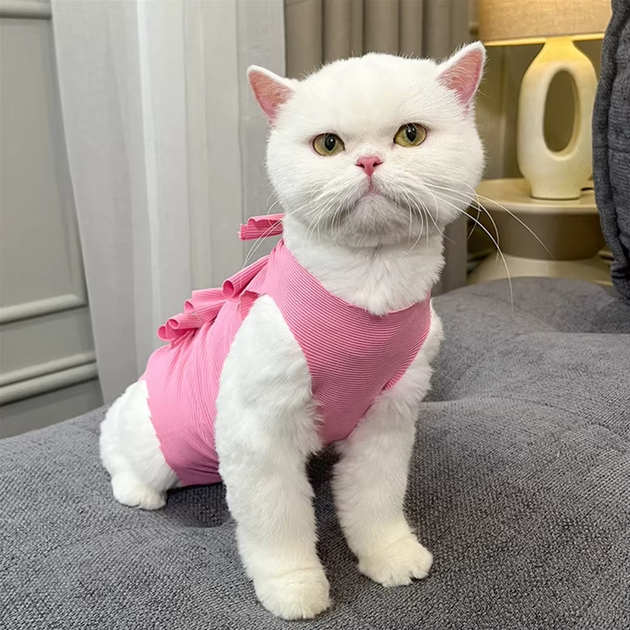 Одяг для котів після операції Holley Bow-knots Pink M - Фото 3 Одяг для котів після операції Holley Bow-knots Pink M - изображение 3