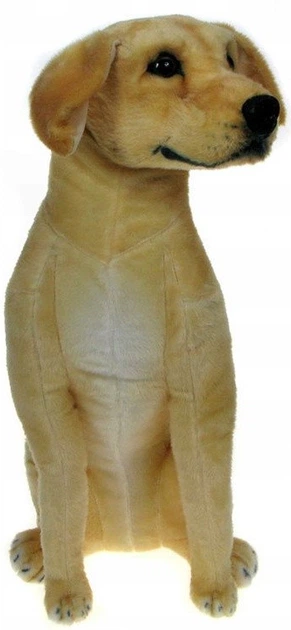 М’яка іграшка Dubi Собака Лабрадор 65 см 33574 (5905965333574) - зображення 2