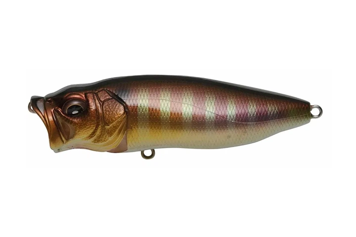 Воблер Megabass PopMax 78F 14г, цвет: PM GILL (4119072015) - Фото 1 Воблер Megabass PopMax 78F 14г, цвет: PM GILL (4119072015) - изображение 1