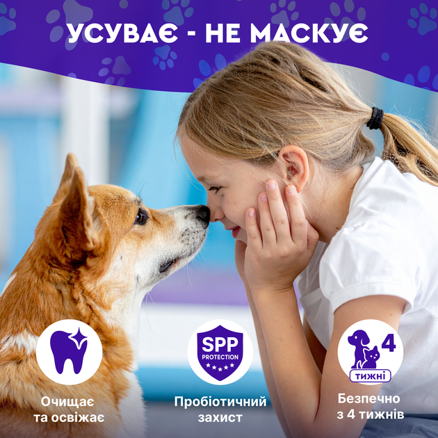 Спрей для полости рта животных с щеткой в комплекте Probioday® DentaBona для зубов от неприятного запаха котов и собак с пробиотиками пробиодей, 100 мл - Фото 3 Спрей для полости рта животных с щеткой в комплекте Probioday® DentaBona для зубов от неприятного запаха котов и собак с пробиотиками пробиодей, 100 мл - изображение 3