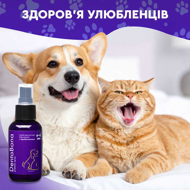 Спрей для полости рта животных с щеткой в комплекте Probioday® DentaBona для зубов от неприятного запаха котов и собак с пробиотиками пробиодей, 100 мл - Фото 5 Спрей для полости рта животных с щеткой в комплекте Probioday® DentaBona для зубов от неприятного запаха котов и собак с пробиотиками пробиодей, 100 мл - изображение 5