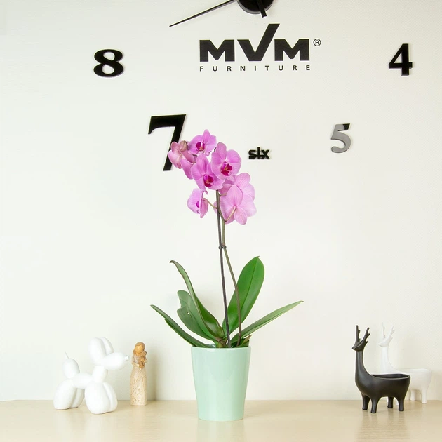 Горшок-кашпо для растений MBM HOME DH-FLOWERS-29 GREEN зеленый - Фото 6 Горшок-кашпо для растений MBM HOME DH-FLOWERS-29 GREEN зеленый - изображение 6