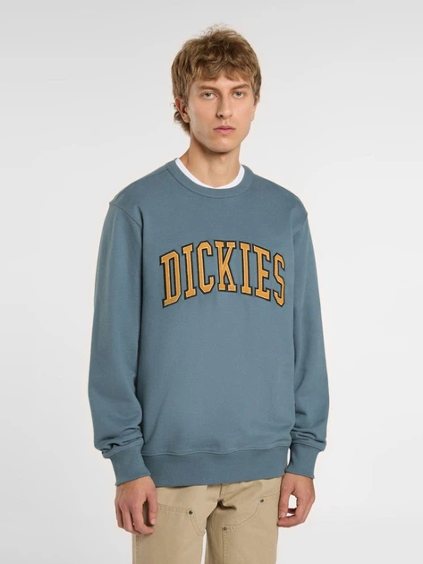 Bluza bez kaptura męska Dickies DK0A4XABG701 M Jasnoniebieska - obraz 1