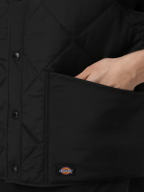 Теплий жилет пуховий чоловічий Dickies DK0A87O8BLK1 S Чорний (800070348102) - зображення 4