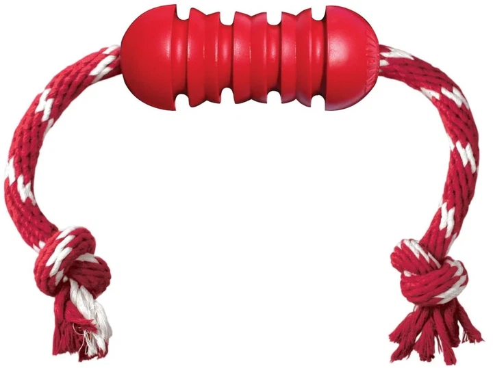 Zabawka dla psa Kong Dental DK2E w/Rope M (0035585121215) - obraz 2