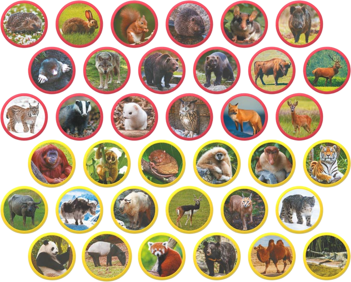 Магнитный набор Монтессори DoDo Животные на континентах: Евразия 36 элементов (4823115911094) - изображение 2