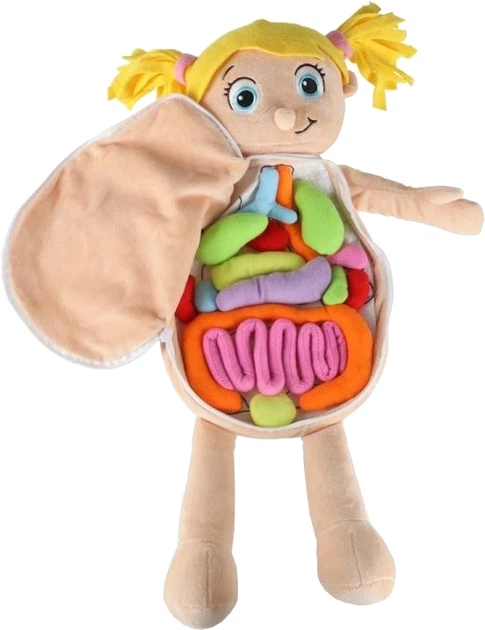 Лялька м'яка KIK Вивчення анатомії Дівчинка (5903039769083) - зображення 3