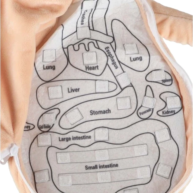 Лялька м'яка KIK Вивчення анатомії Дівчинка (5903039769083) - зображення 4