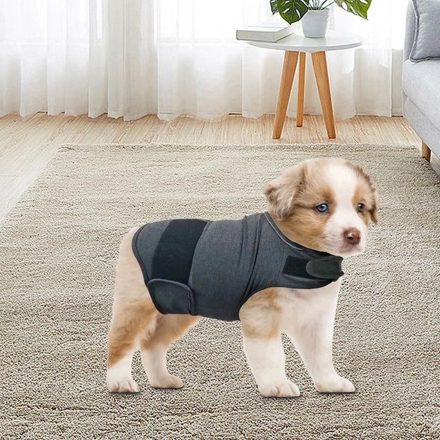 Успокаивающий жилет для собак WanTalk Dog Anxiety Jacket, Dark Grey, 2XL - изображение 2