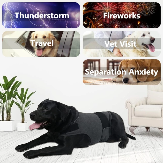 Успокаивающий жилет для собак WanTalk Dog Anxiety Jacket, Dark Grey, 2XL - изображение 6